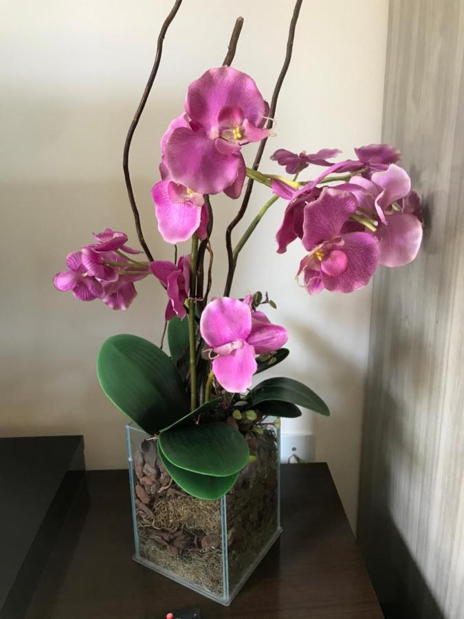 Estúdio privado próximo à Blumenau Gaspar Exterior foto